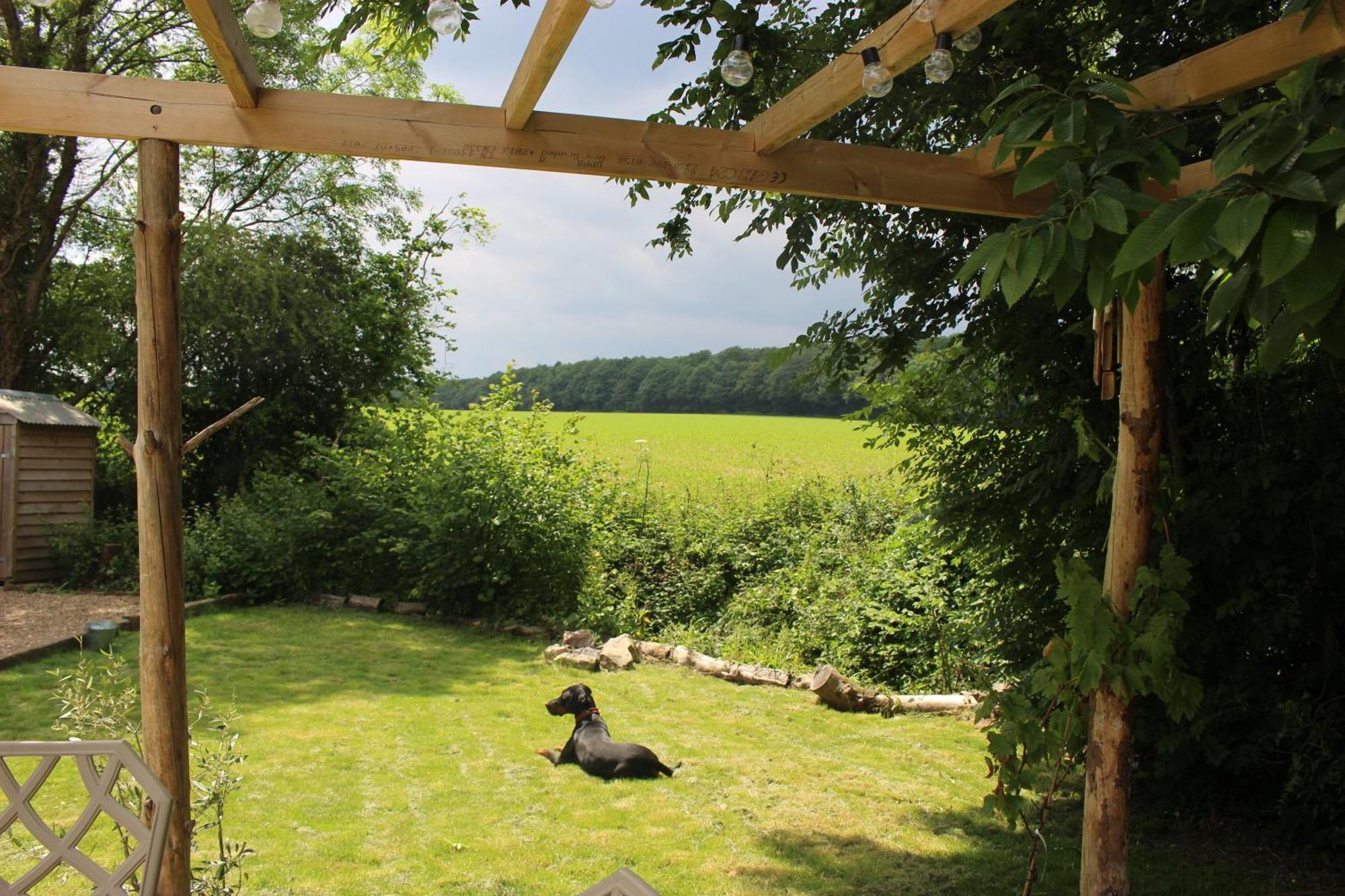 The Yurt At Worcesters Farm Canterbury Exterior photo